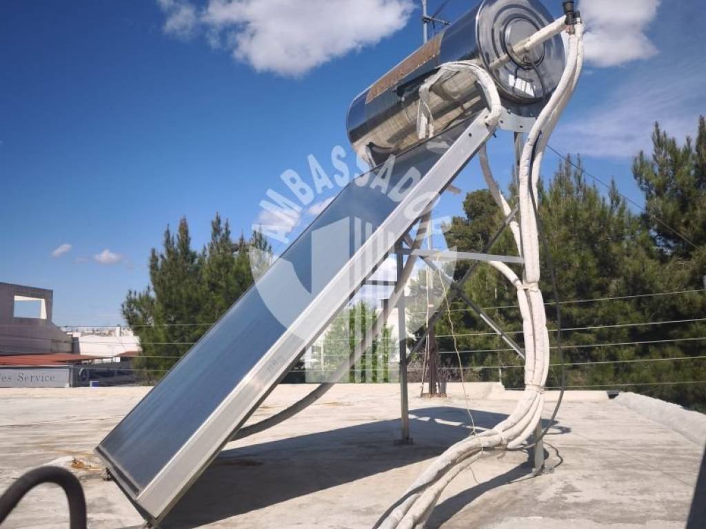 Ύπαρξη ανθρώπου