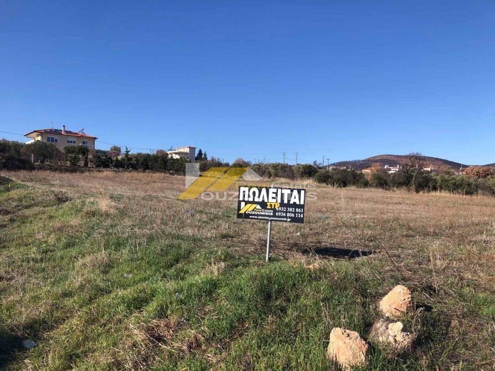 Αγορά αγροτεμαχίου 2.500 τ.μ. κοντά στην Παλαγία Αλεξανδρούπολης