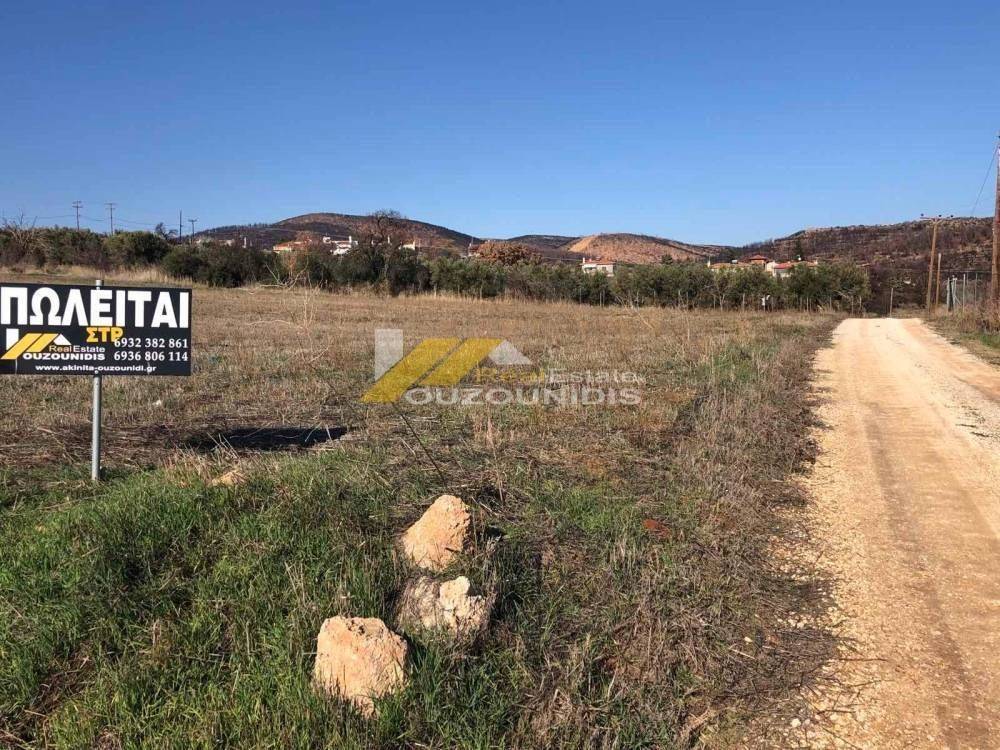 Agora agrotemaxiou 2.500 t.m. konta sthn Palagia Alexandroupolis