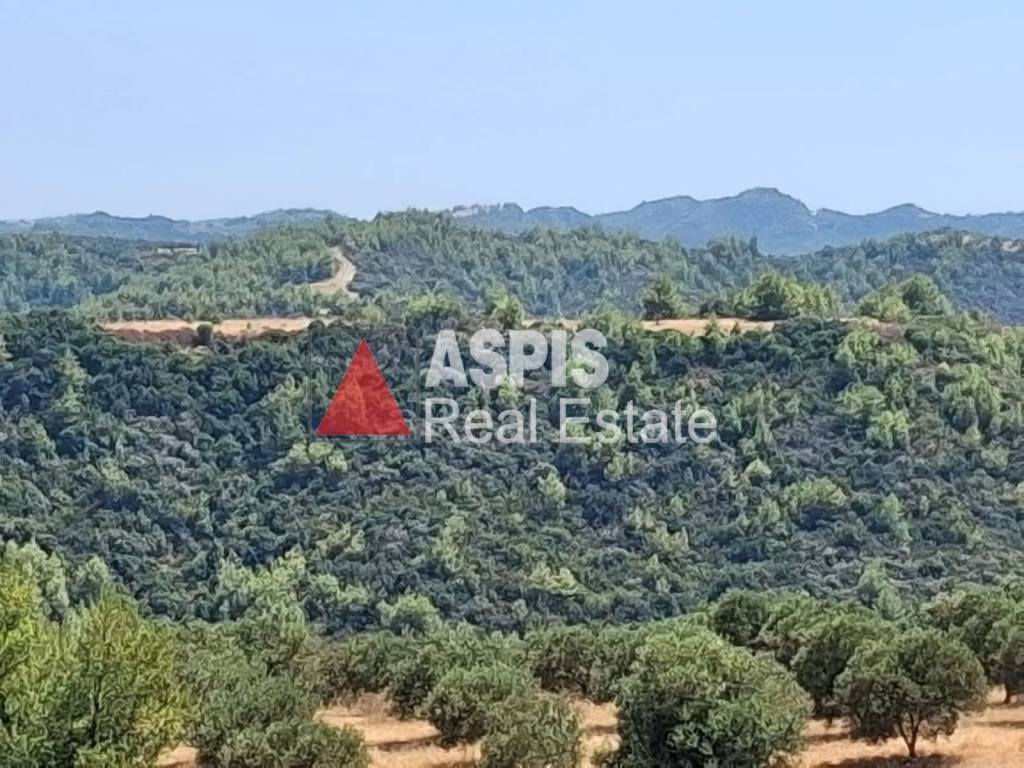 Εξωτερικοι χώροι