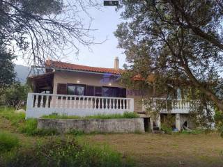 EXOTERIKE OPSE AKINETOY