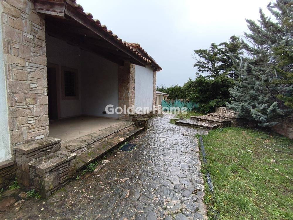 Εξωτερικός Χώρος