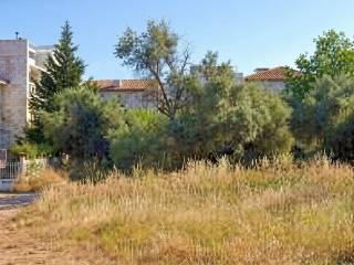 Εξωτερικοι χώροι