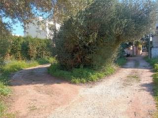 Εξωτερικοι χώροι