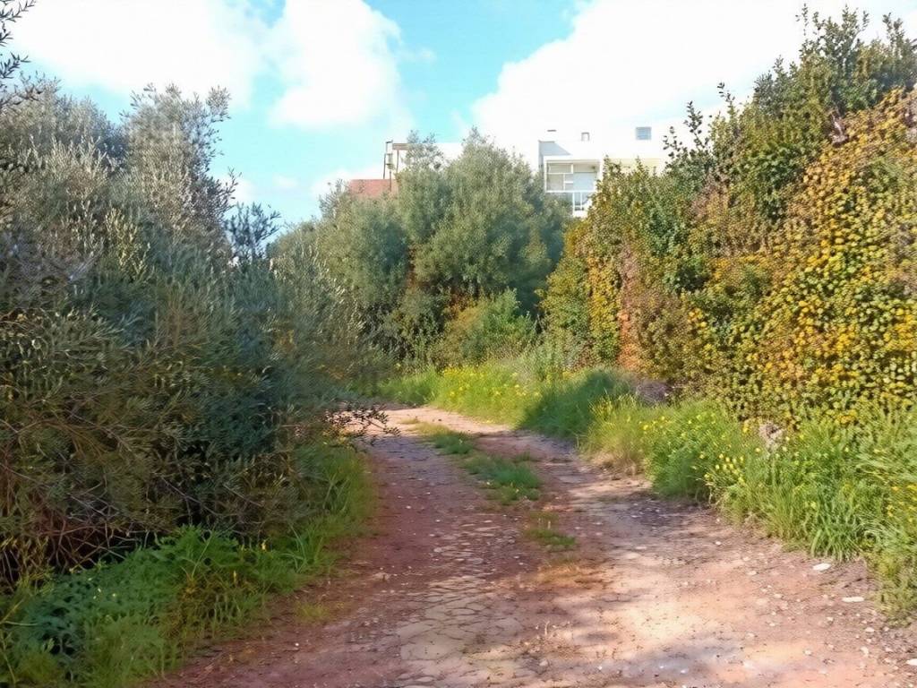 Εξωτερικοι χώροι