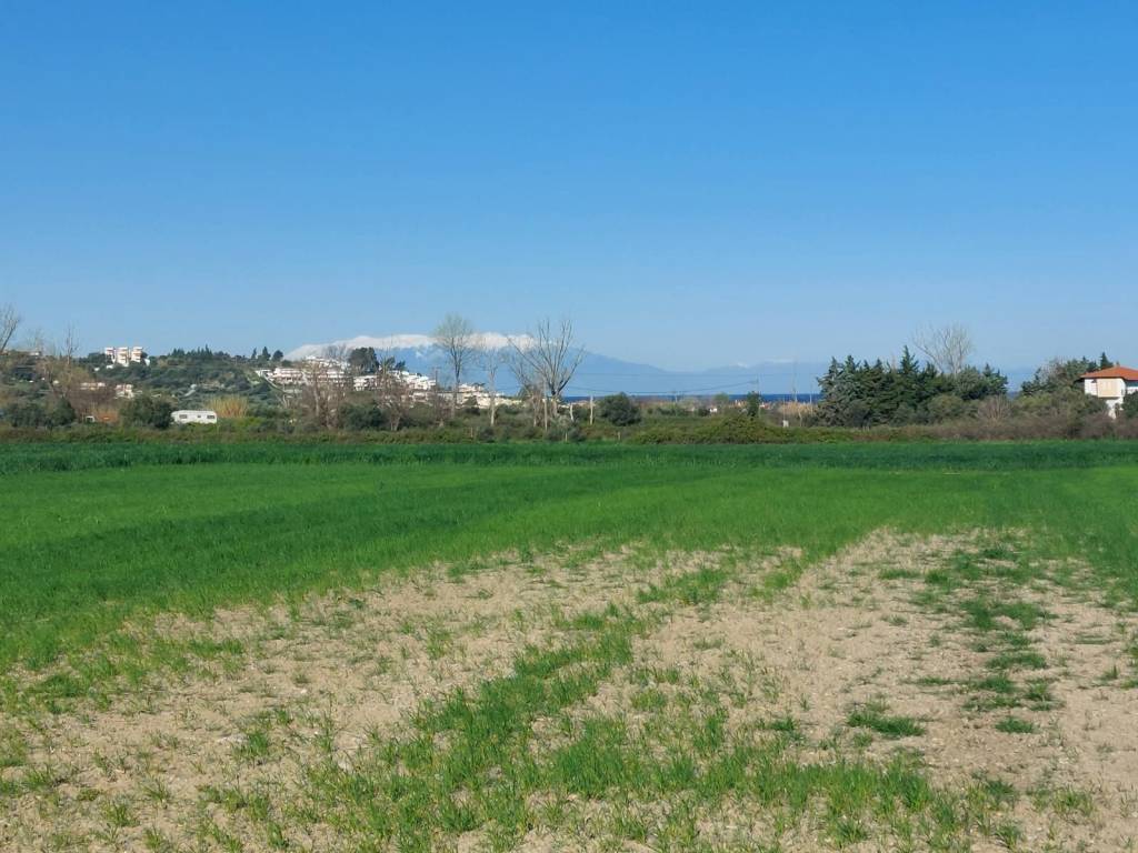 ANYPLACE ΜΕΣΙΤΙΚΕΣ ΥΠΗΡΕΣΙΕΣ