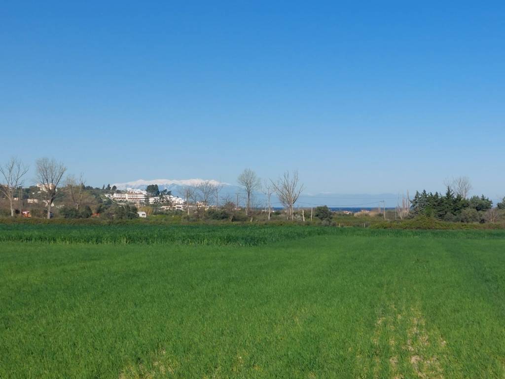 ANYPLACE ΜΕΣΙΤΙΚΕΣ ΥΠΗΡΕΣΙΕΣ