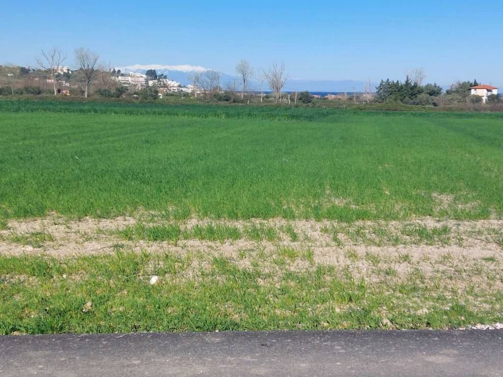 ANYPLACE ΜΕΣΙΤΙΚΕΣ ΥΠΗΡΕΣΙΕΣ