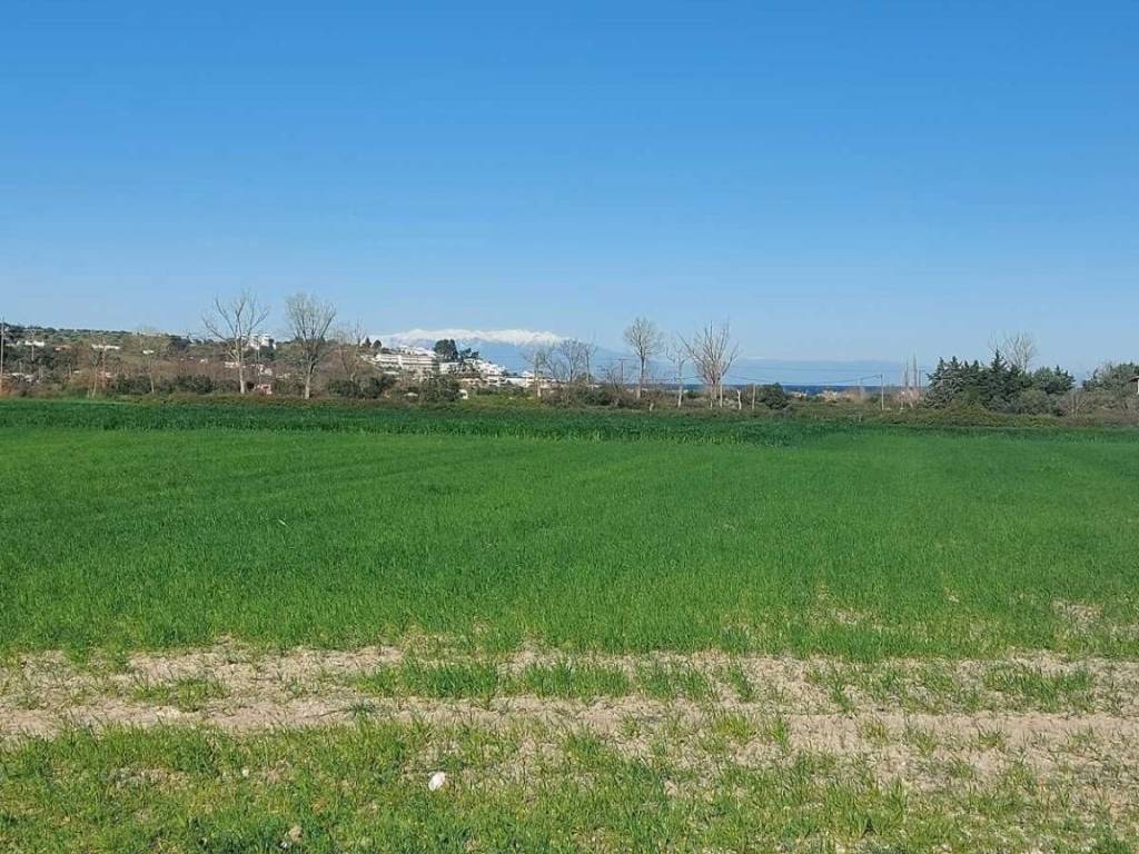 ANYPLACE ΜΕΣΙΤΙΚΕΣ ΥΠΗΡΕΣΙΕΣ