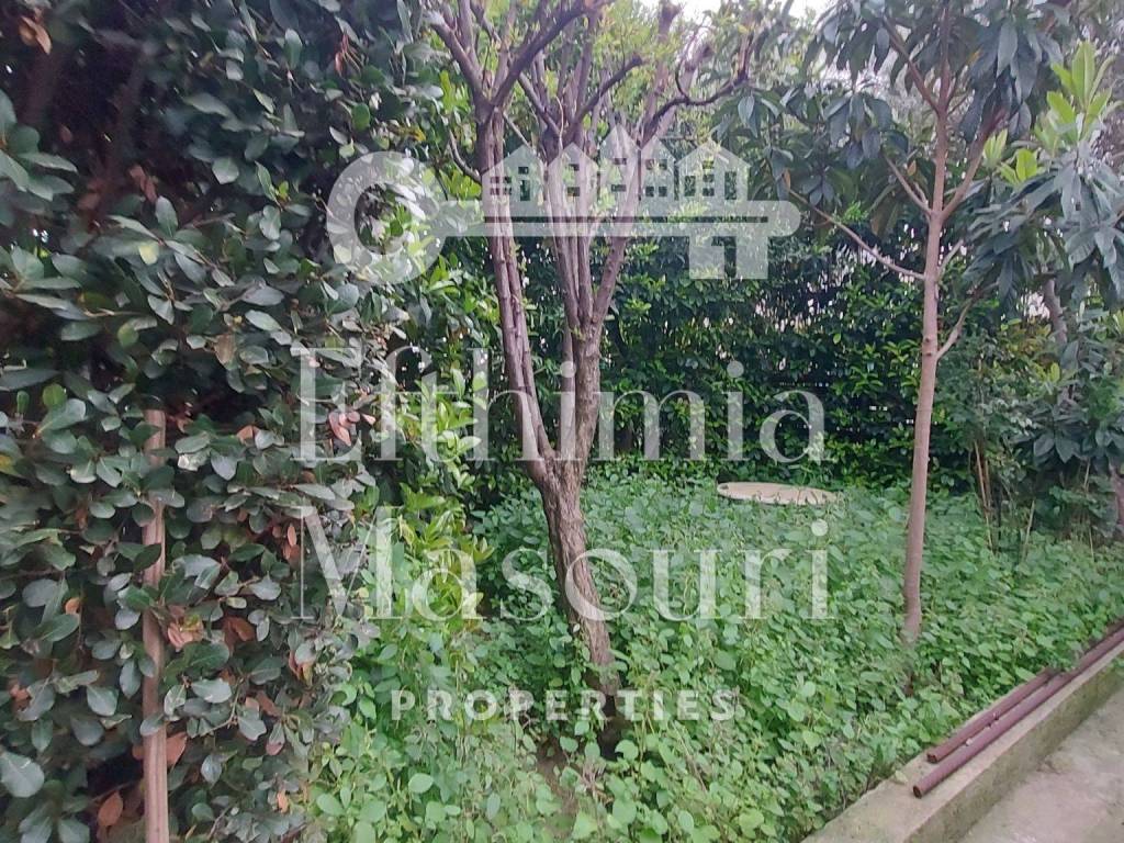 Εξωτερικοι χώροι