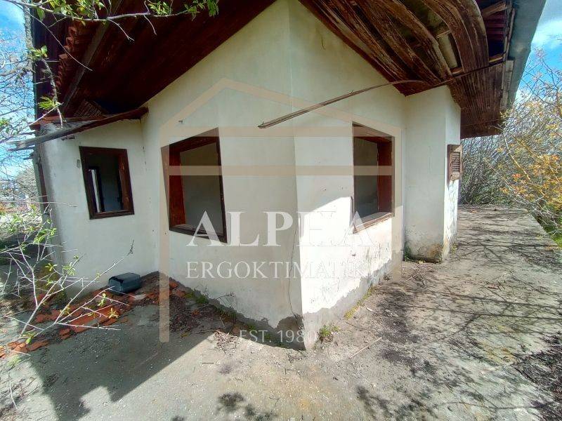 Εξωτερικός χώρος