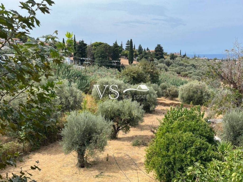 Θέα απο μπαλκόνι