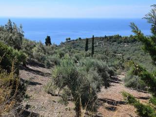 Η όμορφη θέα από το αγροτεμάχιο