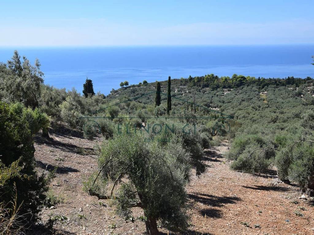 Η όμορφη θέα από το αγροτεμάχιο