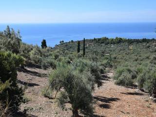 Η όμορφη θέα από το αγροτεμάχιο