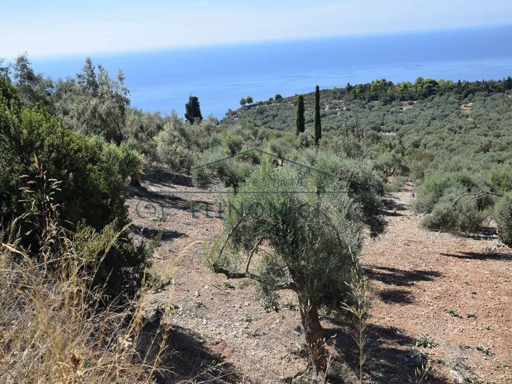 Η όμορφη θέα από το αγροτεμάχιο