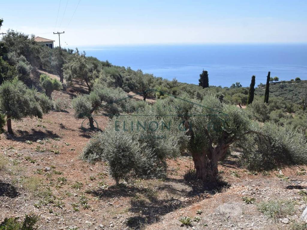 Η όμορφη θέα από το αγροτεμάχιο