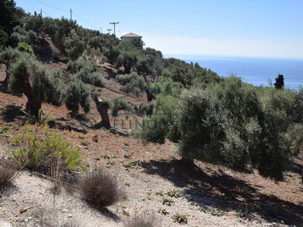 Η όμορφη θέα από το αγροτεμάχιο