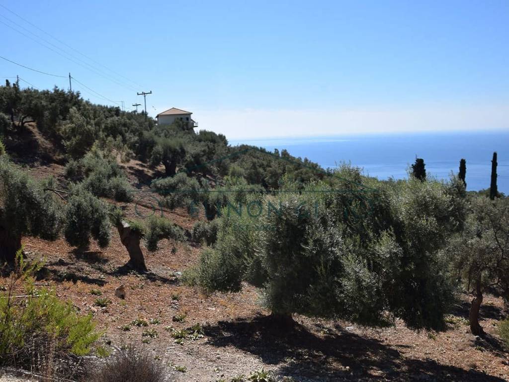 Η όμορφη θέα από το αγροτεμάχιο