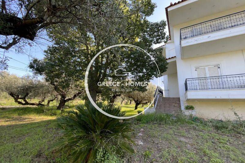 Εξωτερικός χώρος