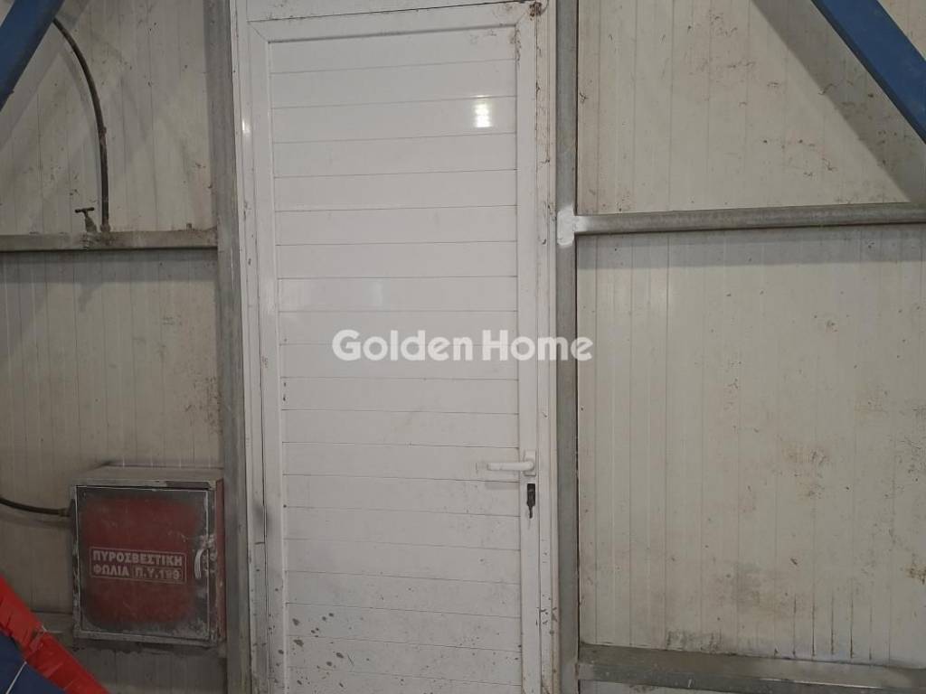 Κυρίως Χώρος