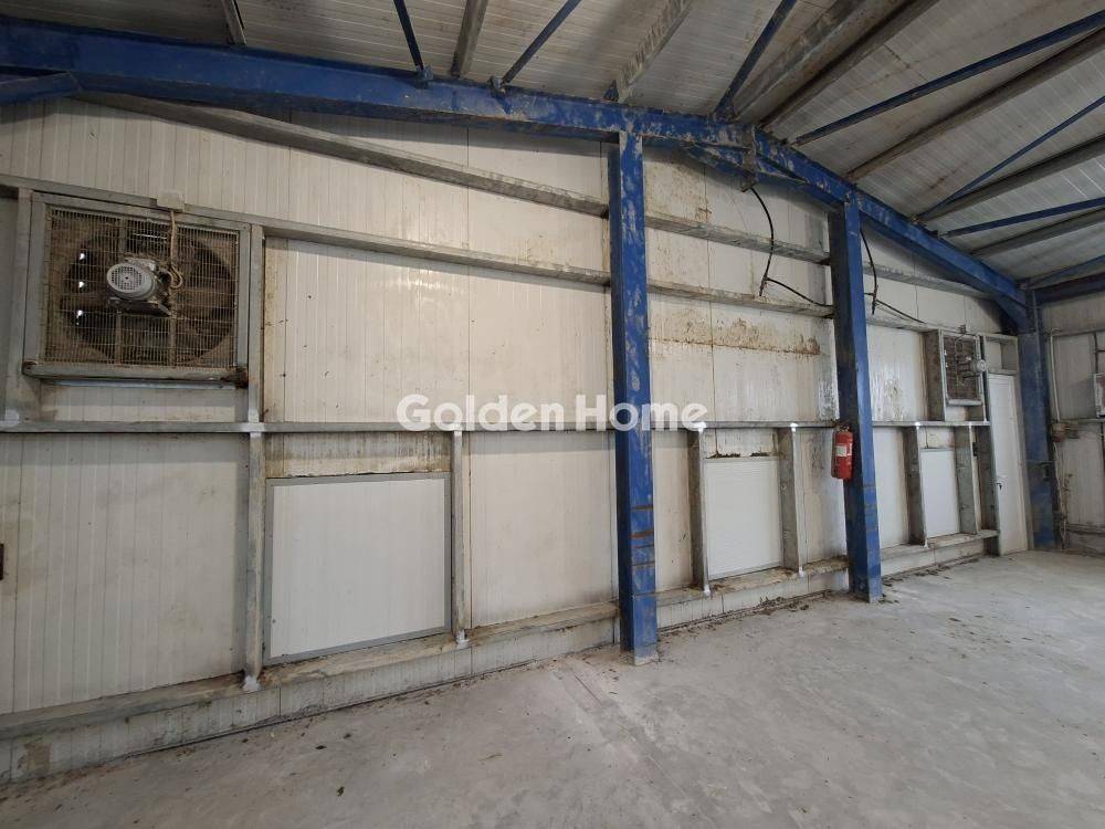 Κυρίως Χώρος