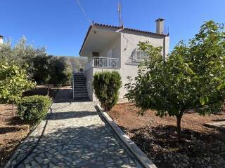 Maisonette - Grekodom 65726|1055786