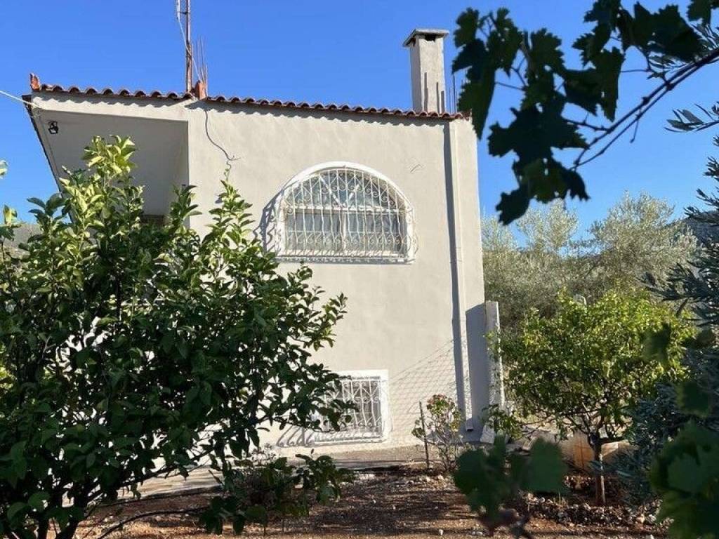 Maisonette - Grekodom 65726|1055770