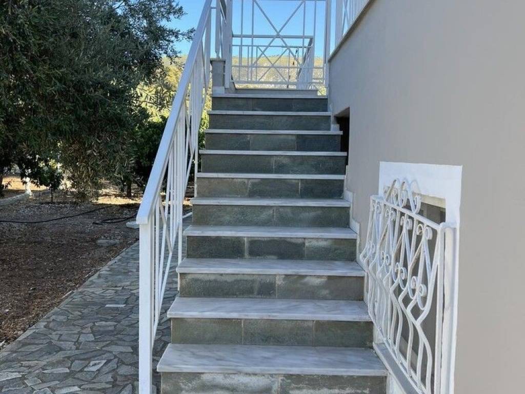 Maisonette - Grekodom 65726|1055771