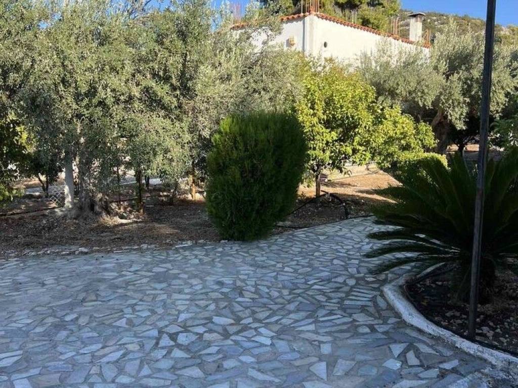 Maisonette - Grekodom 65726|1055772