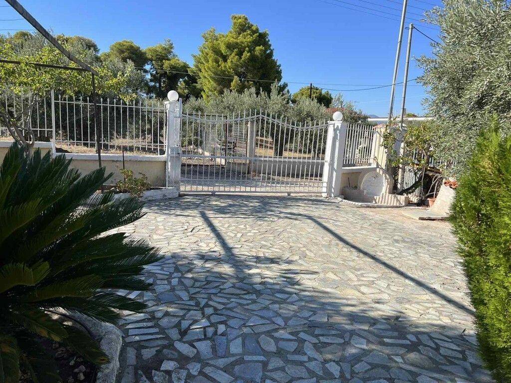 Maisonette - Grekodom 65726|1055783