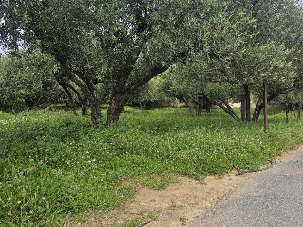 Plot - Grekodom 65785|1057194