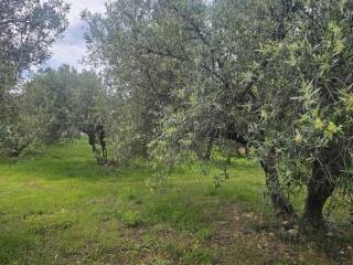 Plot - Grekodom 65785|1057195