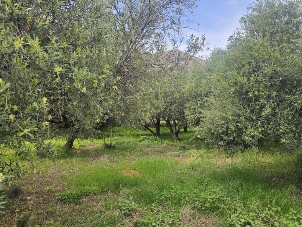 Plot - Grekodom 65785|1057196