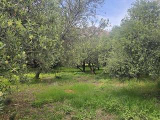 Plot - Grekodom 65785|1057196