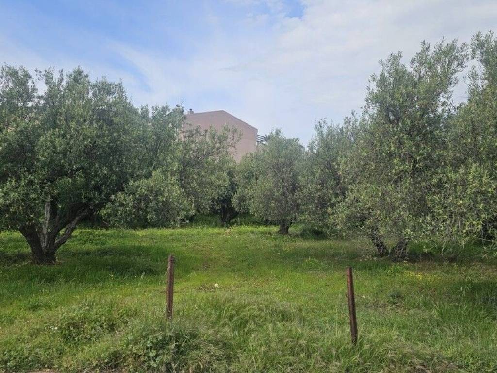 Plot - Grekodom 65785|1057197