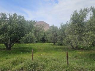 Plot - Grekodom 65785|1057197