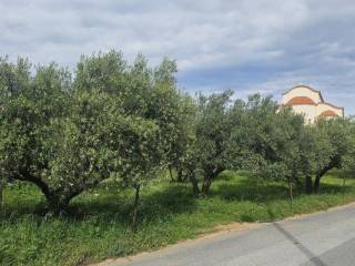 Plot - Grekodom 65785|1057198