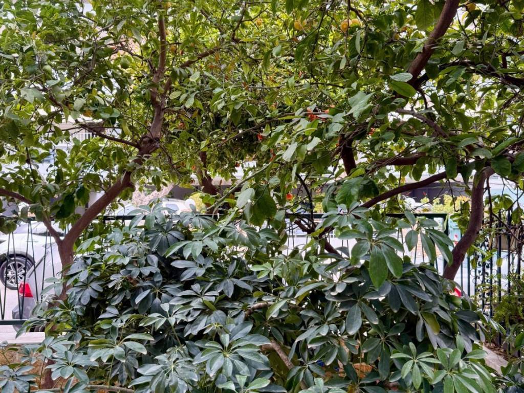 close_to_train_station_residential_studio_for_rent