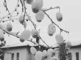 Ύπαρξη ανθρώπου