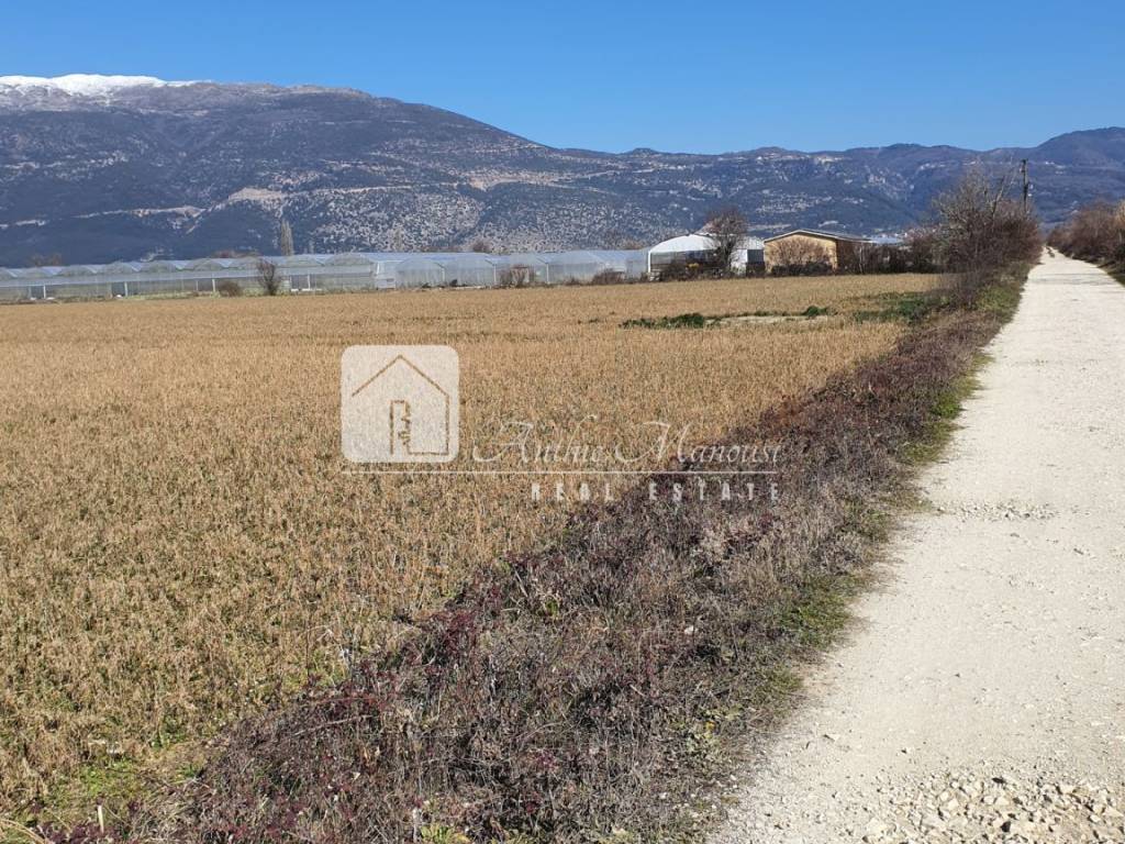 Εξωτερικοι χώροι