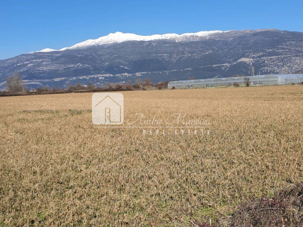 Εξωτερικοι χώροι