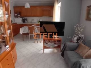 Σαλοκουζίνα