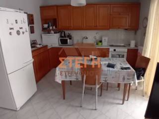 Σαλοκουζίνα