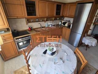 Σαλοκουζίνα