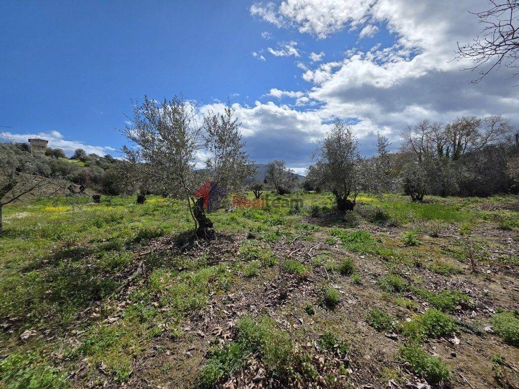 Εξωτερικοι χώροι