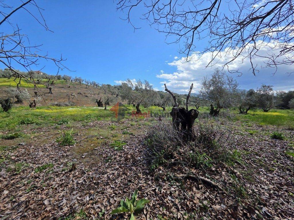 Εξωτερικοι χώροι