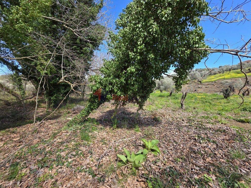 Εξωτερικοι χώροι