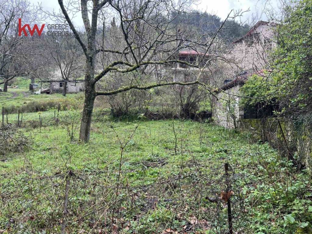 Εξωτερικοι χώροι