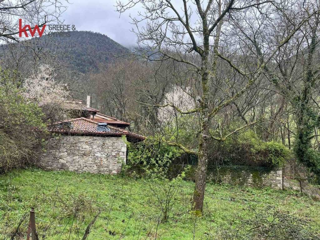 Εξωτερικοι χώροι